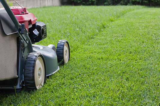 Small Lot Maintenance