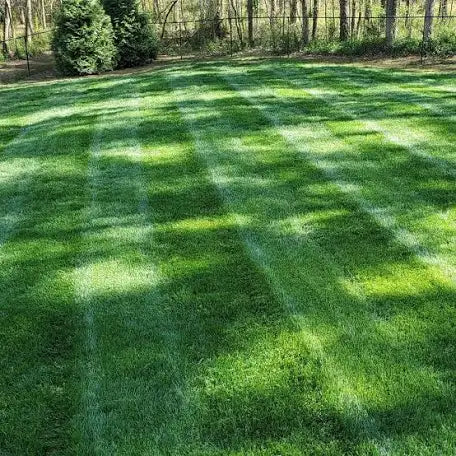 Large Lot Maintenance