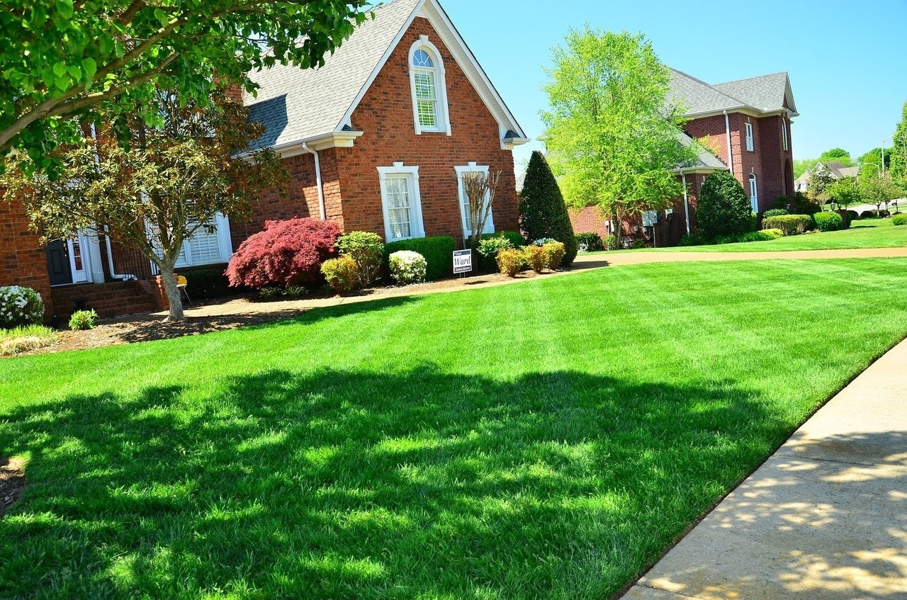 Medium Lot Maintenance